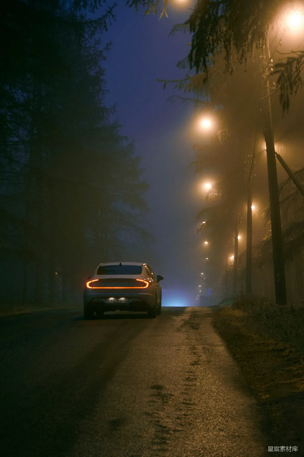 高清摄影 夜晚 森林 路灯 汽车 神秘 夜幕下的森林之路