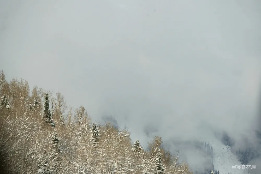 高清摄影 冬季 自然景观 雪景 雾气 森林 冬日山林雪雾
