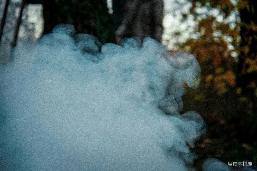 高清摄影 森林 烟雾 蓝色 自然 神秘 森林中的蓝色烟雾