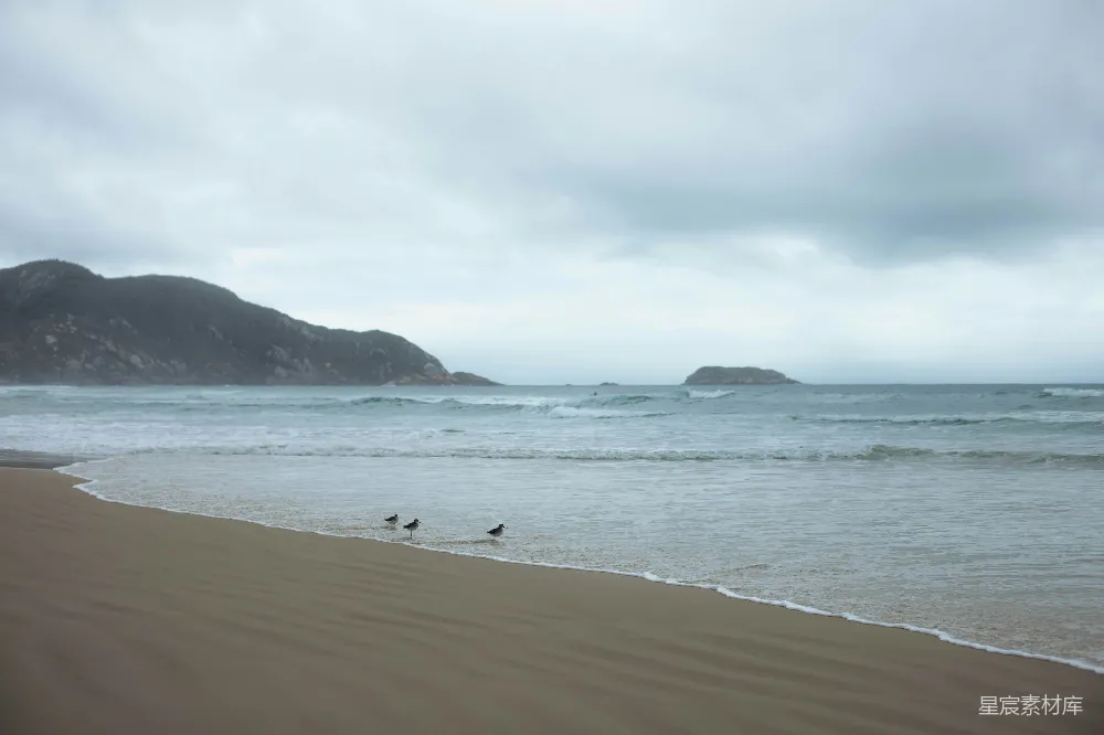 高清摄影 海滩 自然 风景 平静 户外 海浪中的宁静沙滩