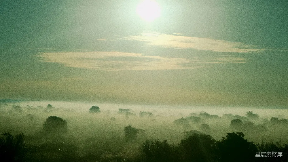 高清摄影 晨雾 宁静 自然 晨曦 风景 晨雾中的宁静晨曦