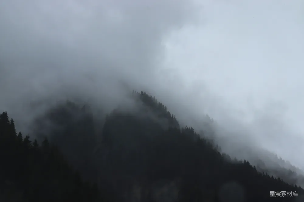 高清摄影 自然 山林 雾景 宁静 风景 雾中森林