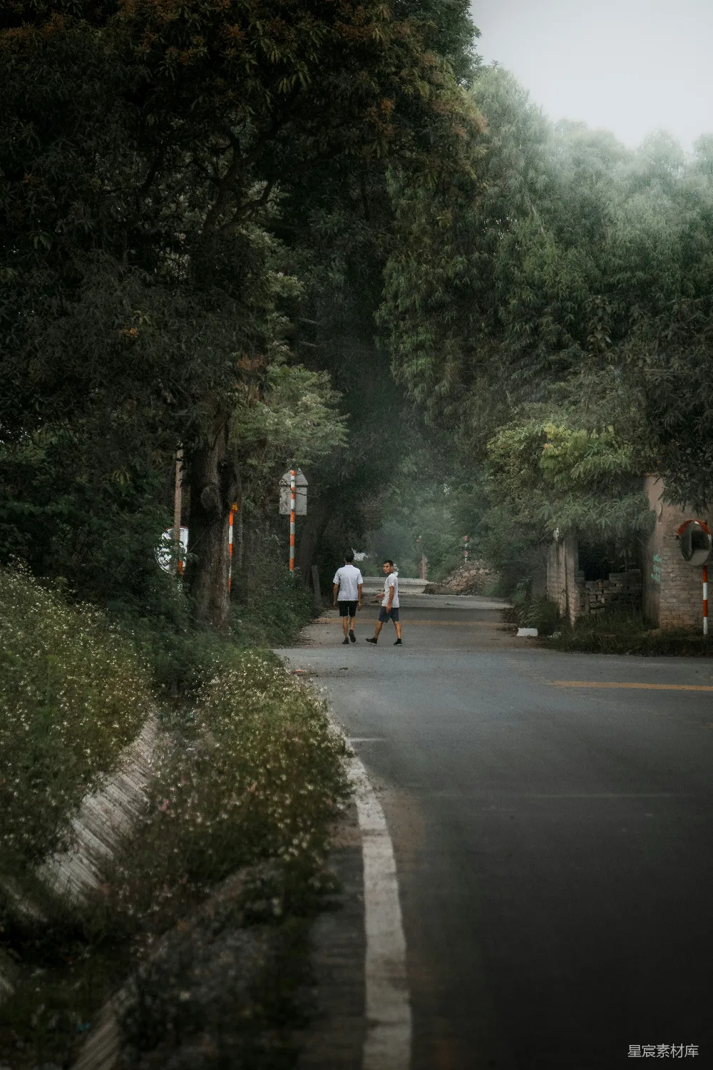 高清摄影 自然 户外 休闲 风景 旅行 林荫小道上的漫步