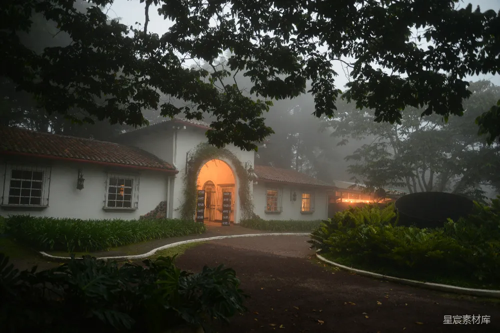 高清摄影 庄园 晨雾 复古建筑 自然风光 宁静 晨雾中的复古庄园