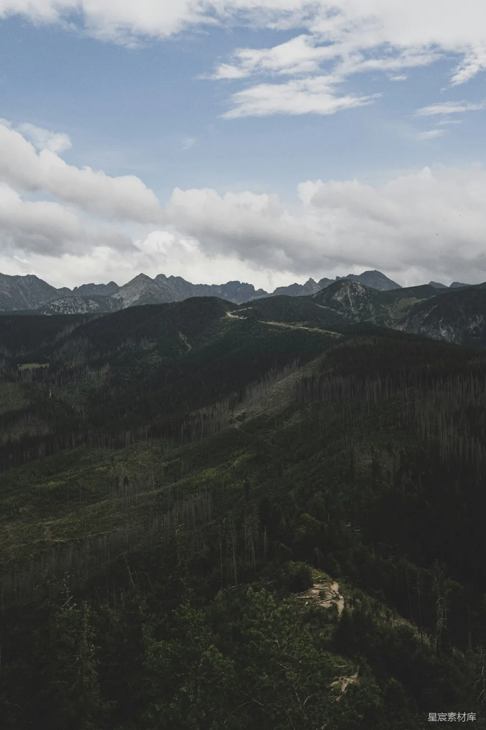 高清摄影 自然风光 山脉 森林 徒步旅行 户外探险 山间小径与茂密森林