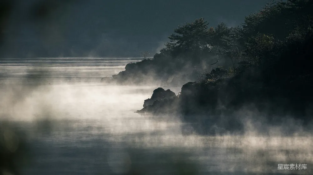 高清摄影 晨雾 静谧 湖畔 自然 风景 晨雾中的静谧湖畔
