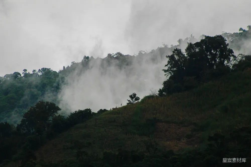 高清摄影 山林 雾气 自然 风景 户外 雾气笼罩的山林