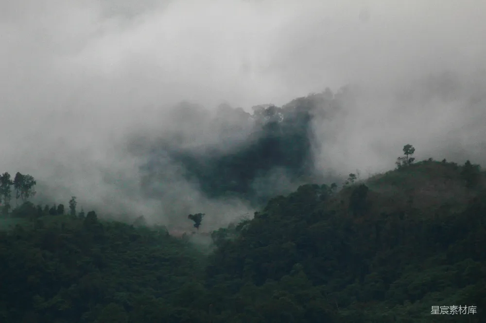 高清摄影 山林 雾气 自然 宁静 风景 雾中的山林