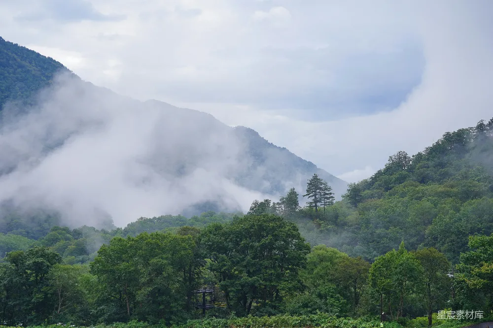 高清摄影 自然风光 山林 云雾缭绕 宁静 户外 雾中青山