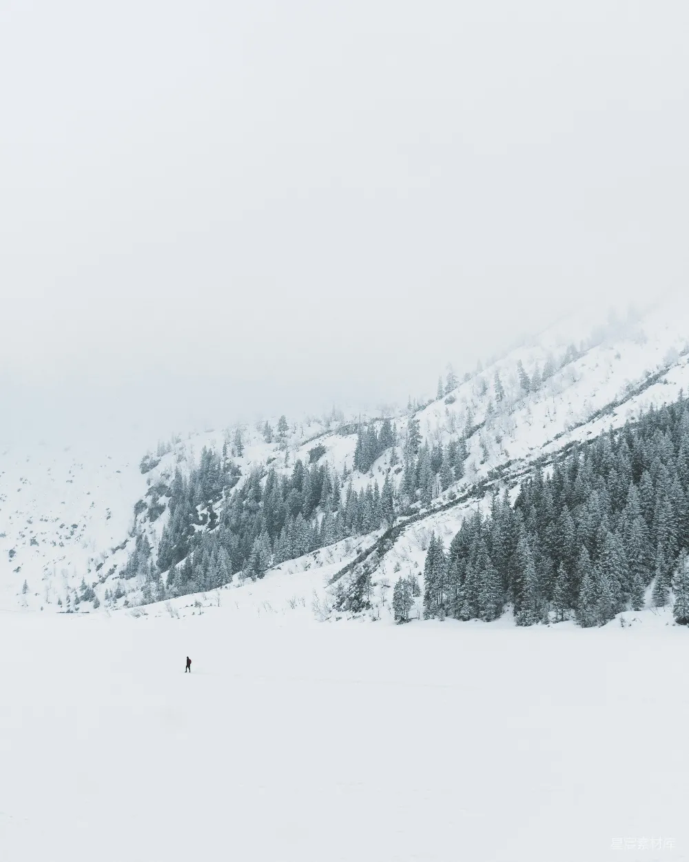 高清摄影 雪景 孤独 山脉 自然 宁静 雪中的孤独身影