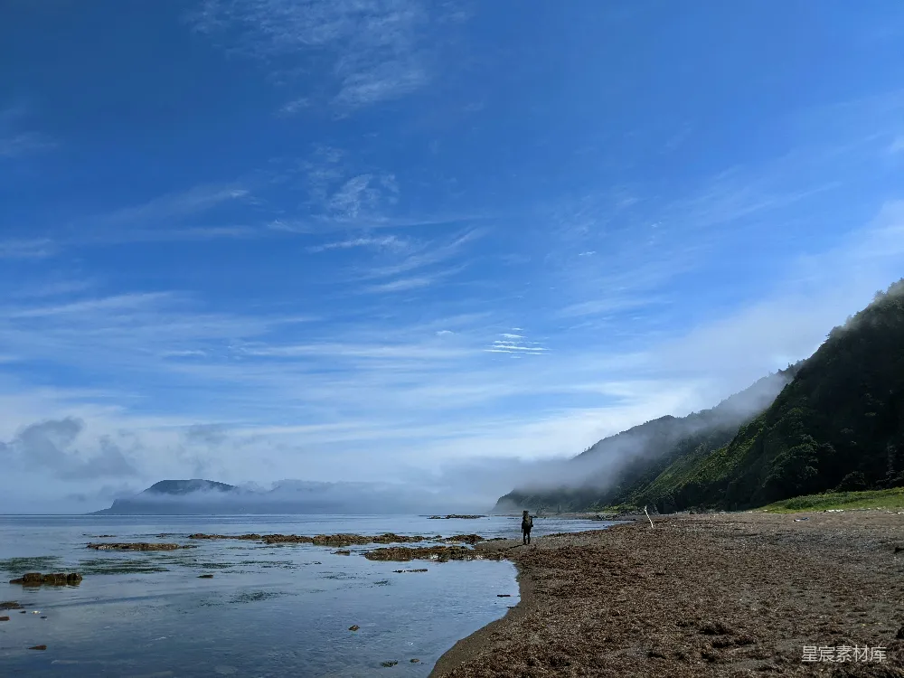 高清摄影 海滩 晨雾 自然风光 户外旅行 宁静 海边晨雾漫步