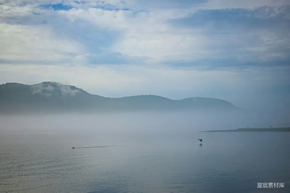 高清摄影 湖泊 雾气 自然风景 宁静 自由 雾中湖面的宁静与自由