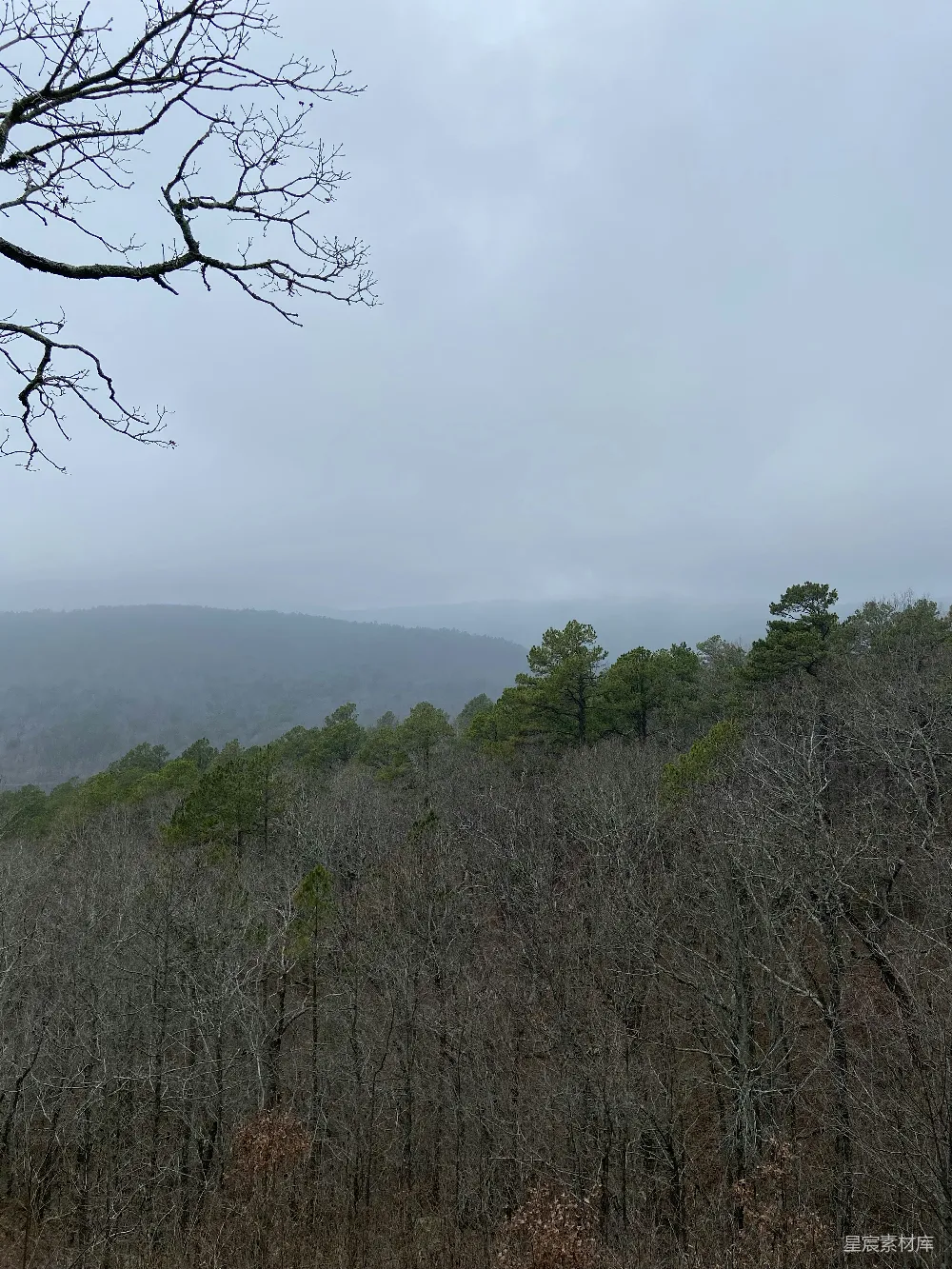 高清摄影 森林 山景 冬季 自然风光 宁静 冬日山林