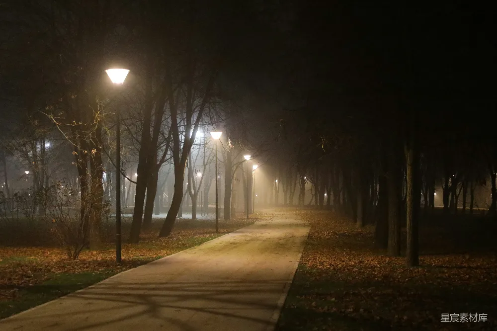 高清摄影 夜晚 公园 雾气 路灯 宁静 夜幕下的雾中公园