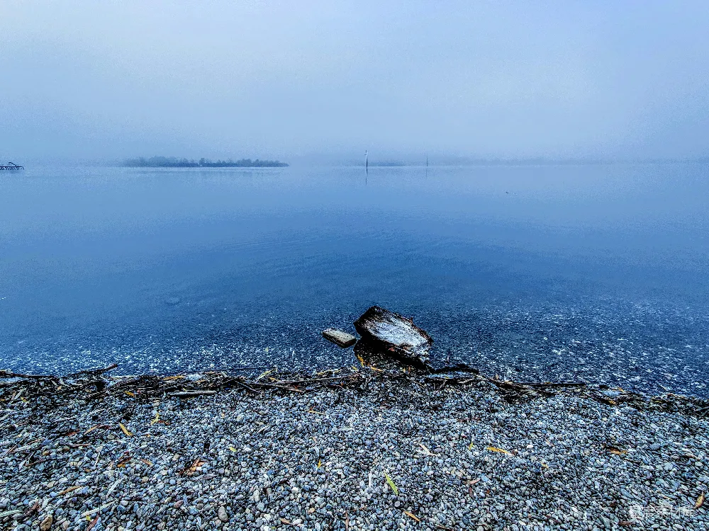 高清摄影 湖畔 雾景 宁静 自然 风景 雾中湖畔的宁静