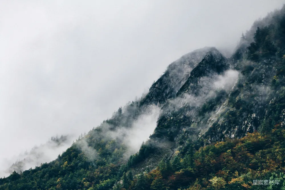 高清摄影 山景 自然 雾气 森林 宁静 雾中的山峦