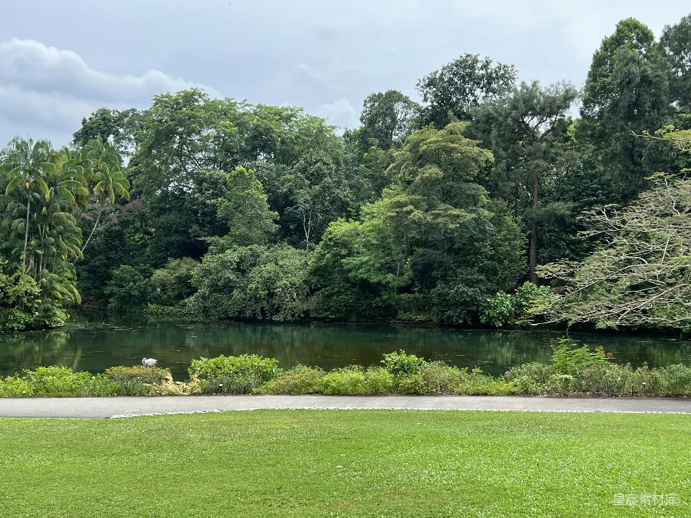 高清摄影 自然风光 公园 湖泊 绿色植物 休闲 绿意盎然的花园湖泊