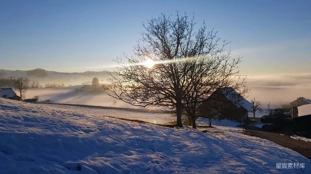 高清摄影 冬季 雪景 晨光 乡村 自然 冬日晨曦中的雪景与孤树