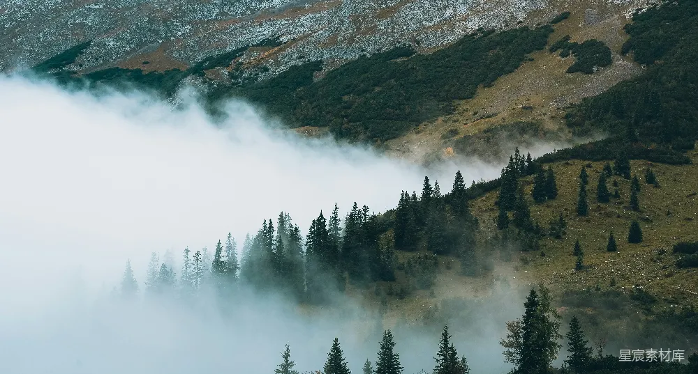 高清摄影 自然风光 森林 山地 雾气 宁静 雾中森林
