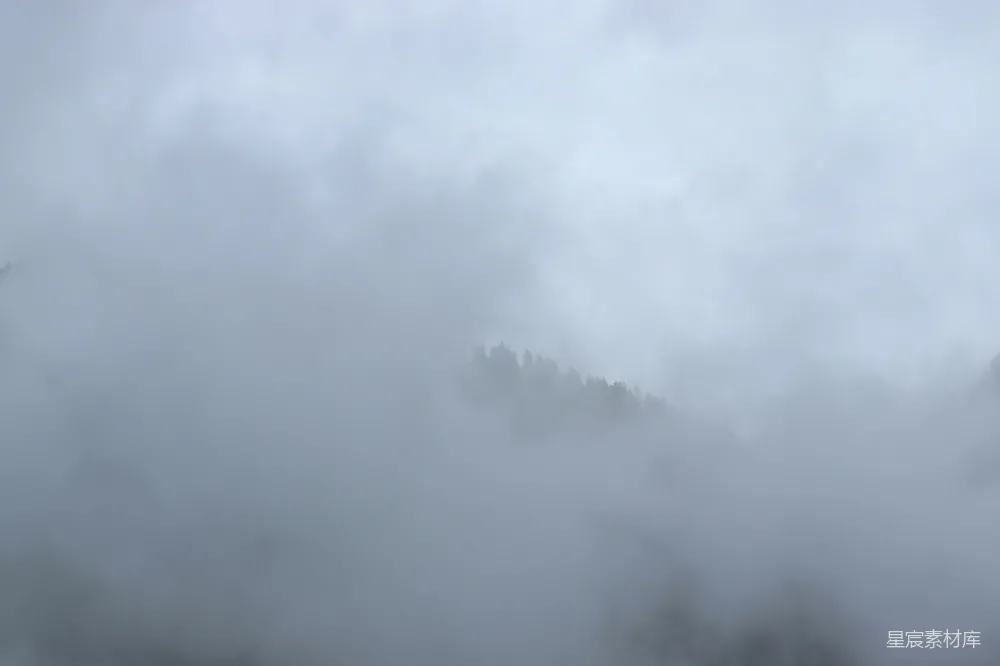 高清摄影 自然 风景 宁静 旅行 户外 雾中森林