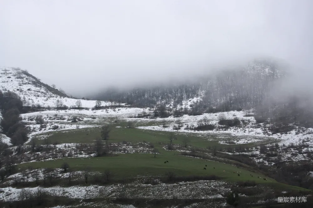 高清摄影 雪景 山地 自然 宁静 田园风光 雪后的山间牧场