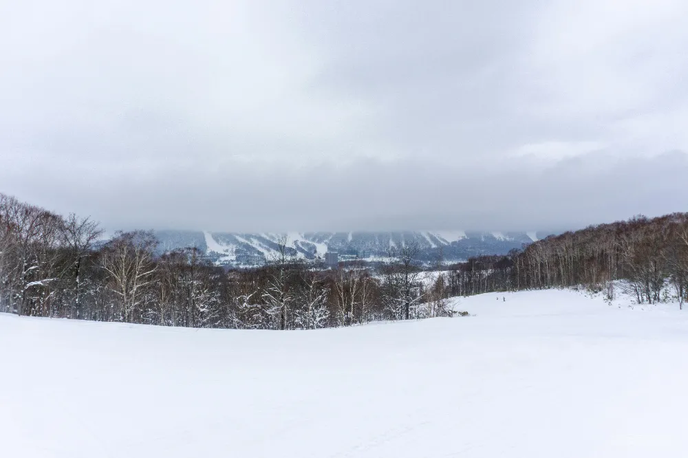 高清摄影 雪地 冬季 风景 户外 自然 冬日雪地风景