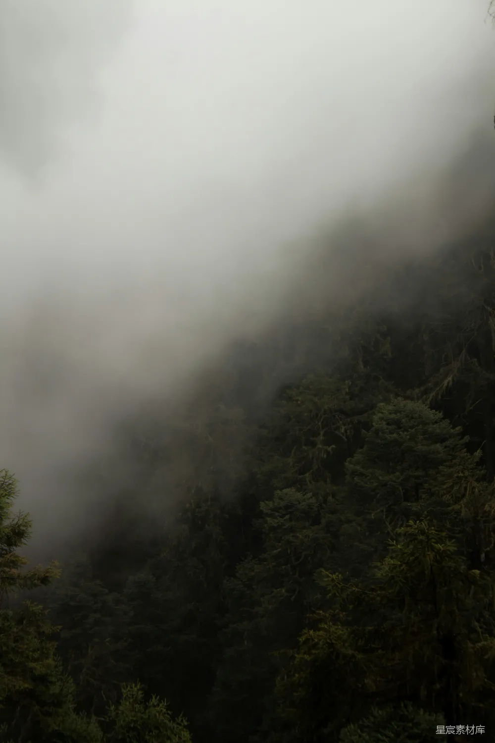 高清摄影 山林 雾气 自然 神秘 宁静 山间迷雾