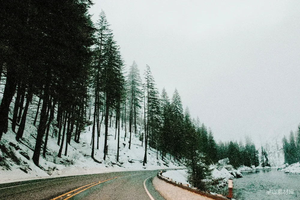 高清摄影 雪景 森林 公路 冬季 自然 雪中森林的蜿蜒公路