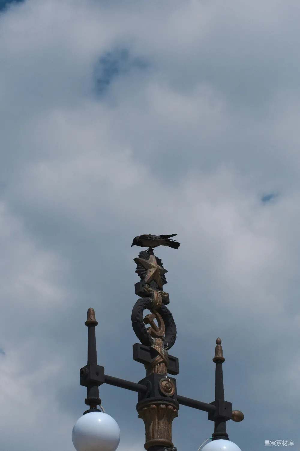 高清摄影 乌鸦 灯柱 天空 城市景观 自然与城市 乌鸦栖息在灯柱顶