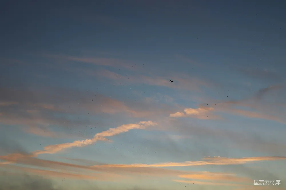 高清摄影 天空 黄昏 飞鸟 自然 宁静 黄昏的天空与飞鸟