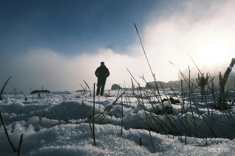 高清摄影 雪地 雾气 孤独 自然 早晨 冬日晨雾中的孤独身影