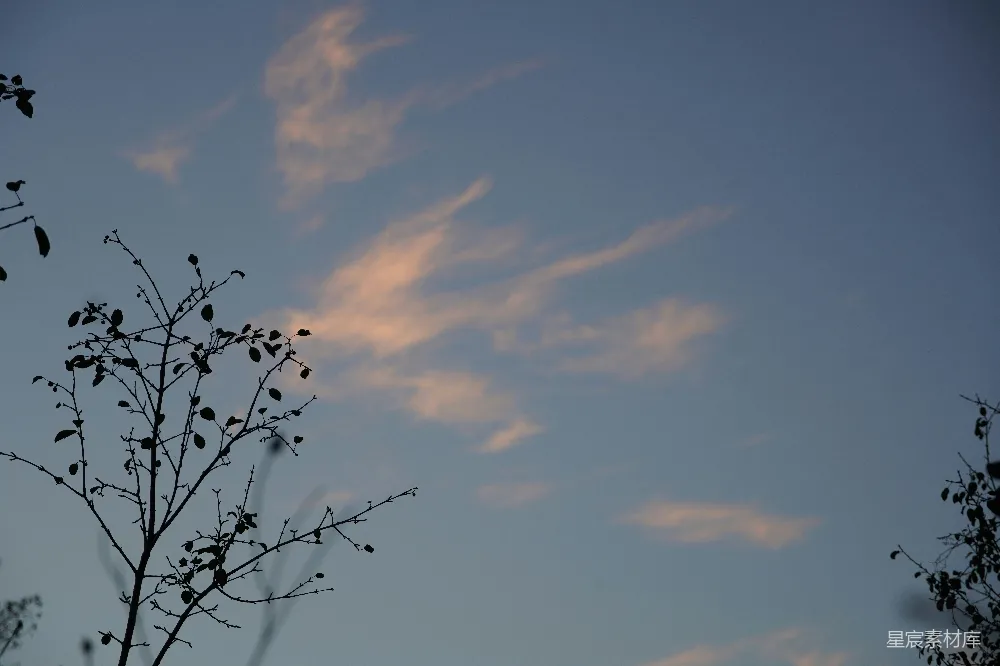 高清摄影 树影 天空 黄昏 自然 宁静 黄昏树影