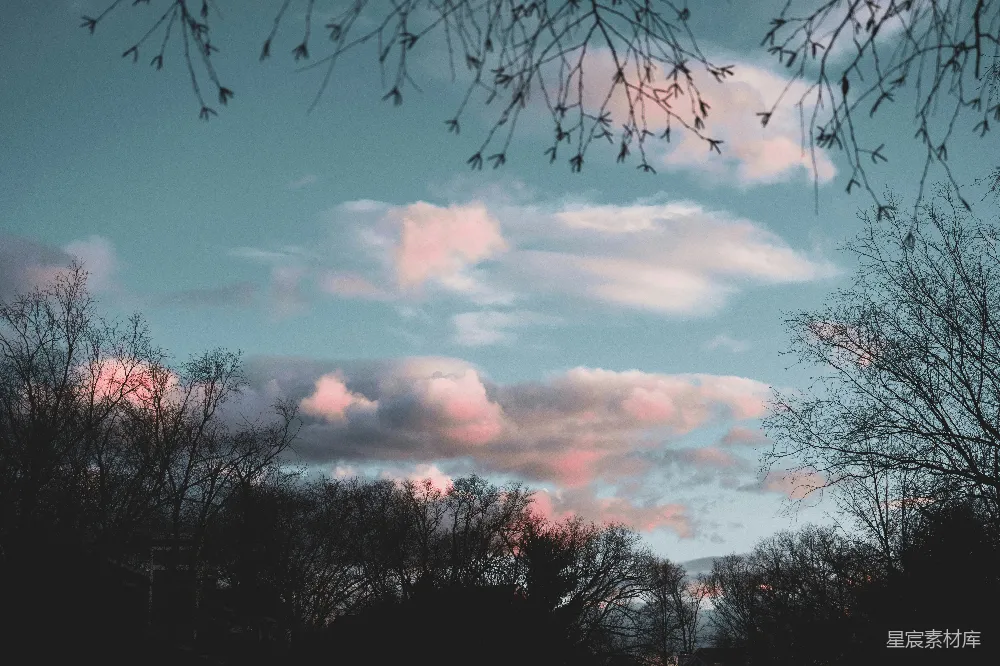 高清摄影 天空 云朵 树木 夕阳 自然 夕阳下的天空