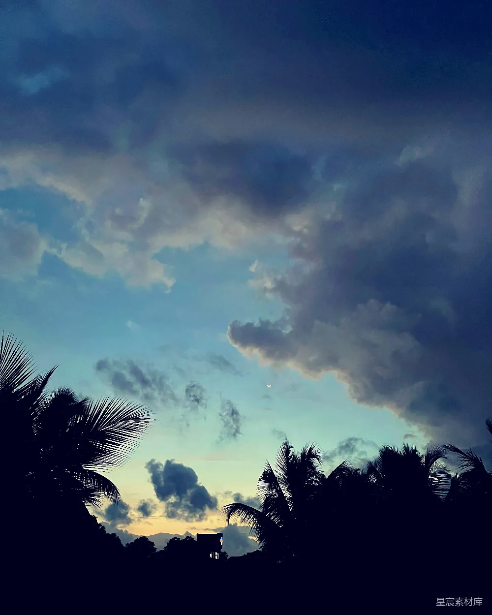 高清摄影 夕阳 椰子树 天空 自然 宁静 黄昏时分的椰林与云彩