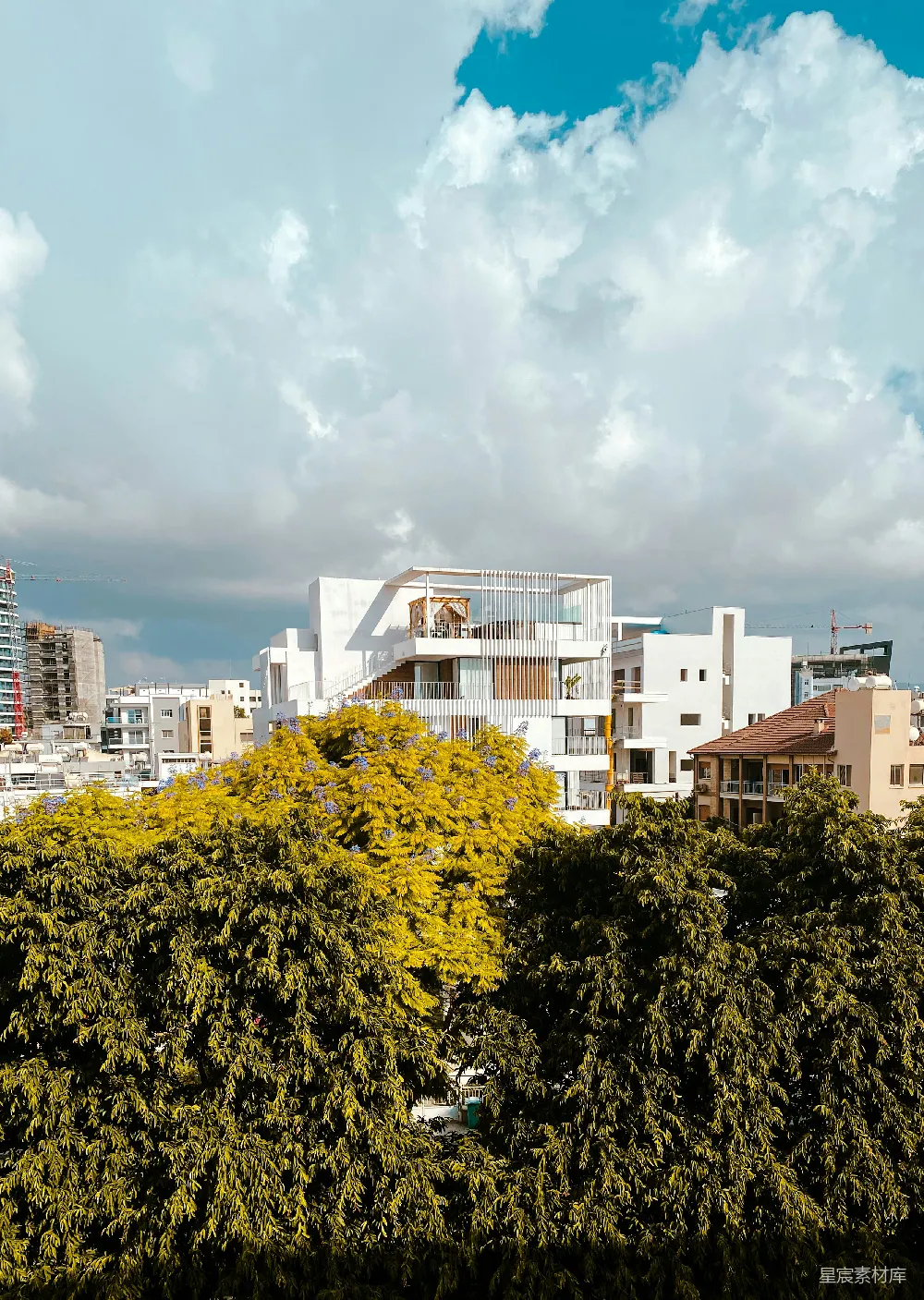 高清摄影 城市景观 现代建筑 自然环境 城市绿洲 宜居生活 现代建筑与自然的和谐共生