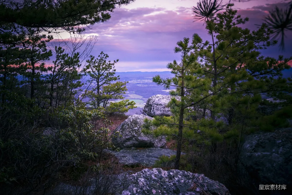 高清摄影 山景 松林 日落 自然风光 宁静 暮色中的山间松林