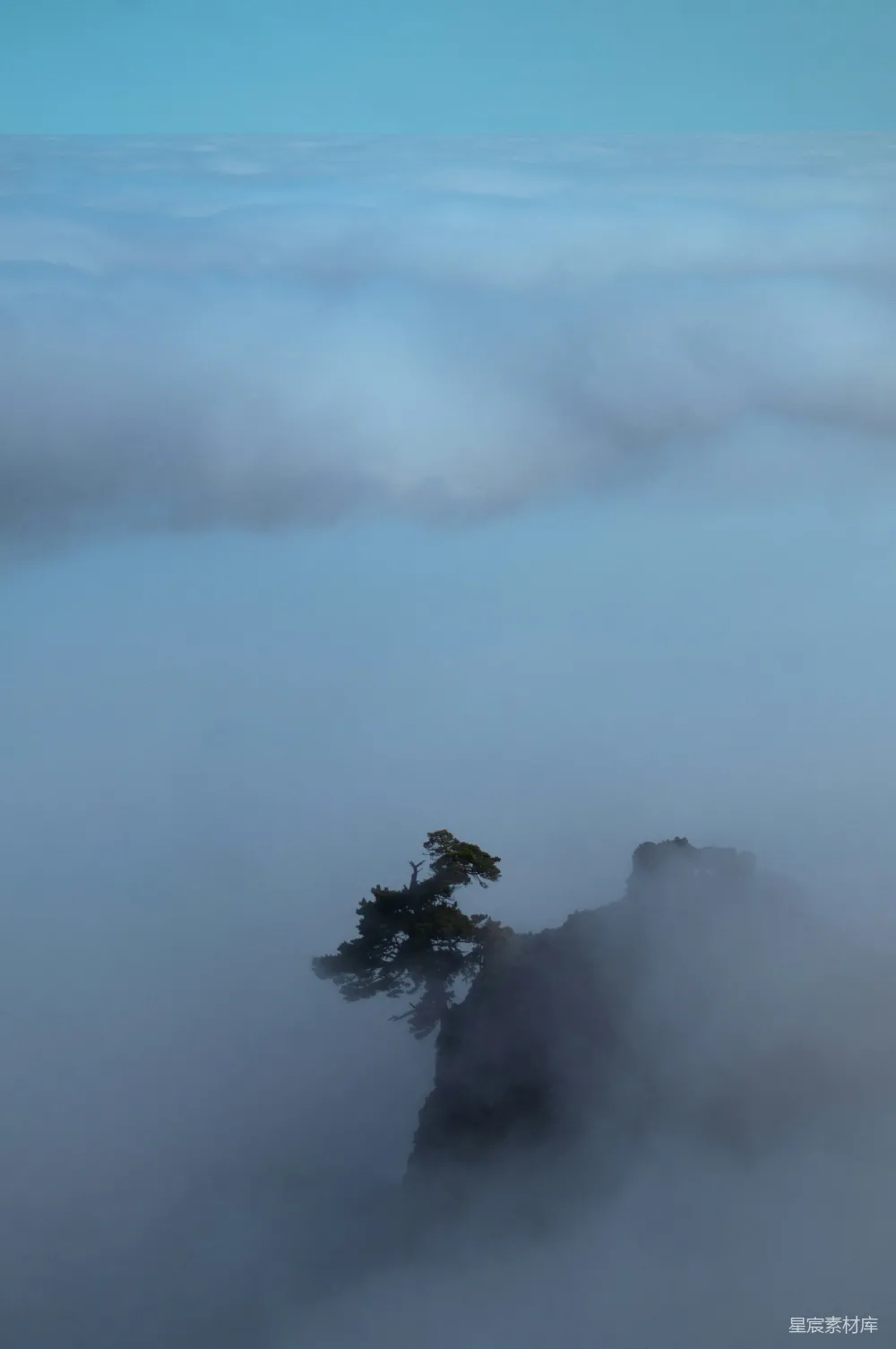 高清摄影 自然风光 雾气 松树 宁静 山峰 雾中孤松
