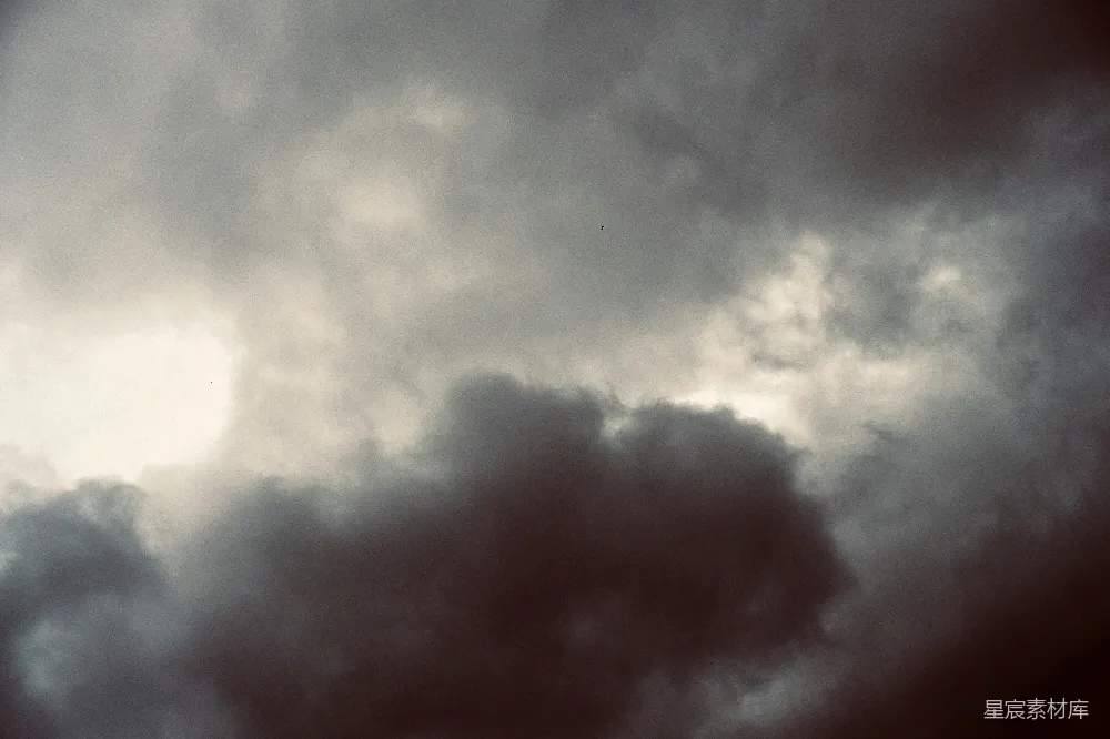 高清摄影 天空 阴云 鸟 自然 阴郁 阴沉天空中的鸟影