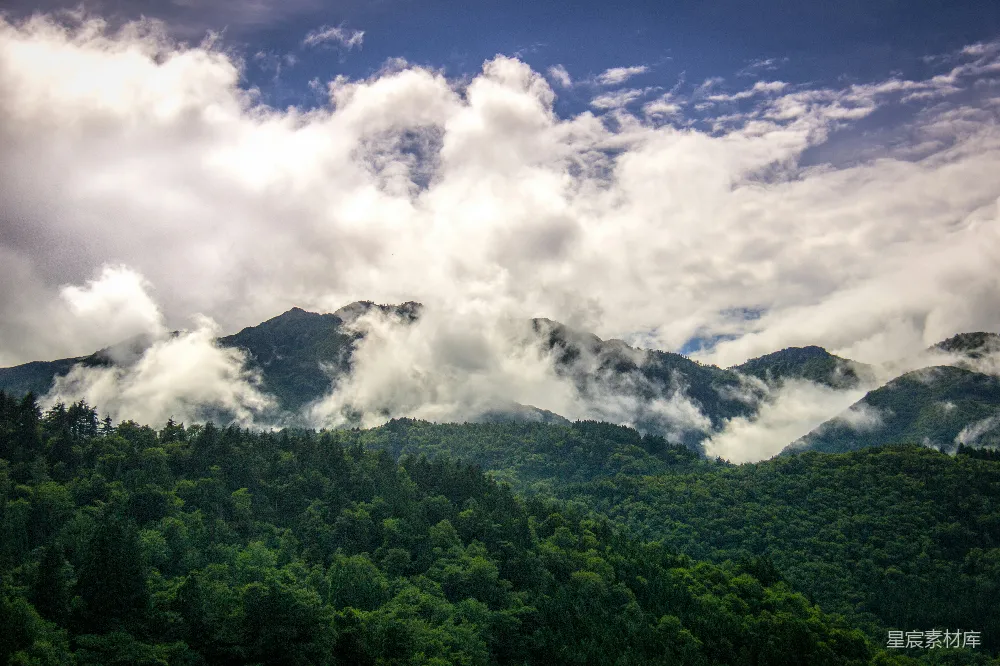 高清摄影 山景 自然风光 森林 云雾 宁静 云雾缭绕的山林