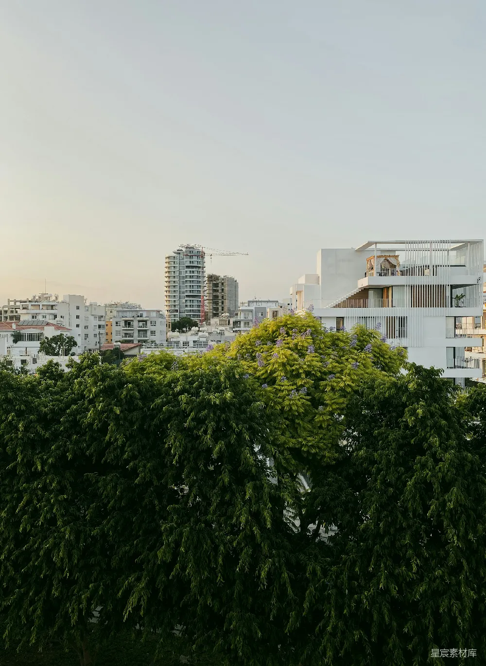 高清摄影 城市 建筑 树木 自然 都市风光 城市与自然的和谐共处