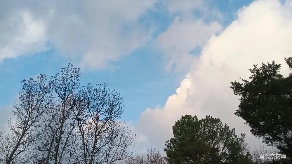高清摄影 天空 云朵 树木 自然风光 户外 蓝天白云下的树林