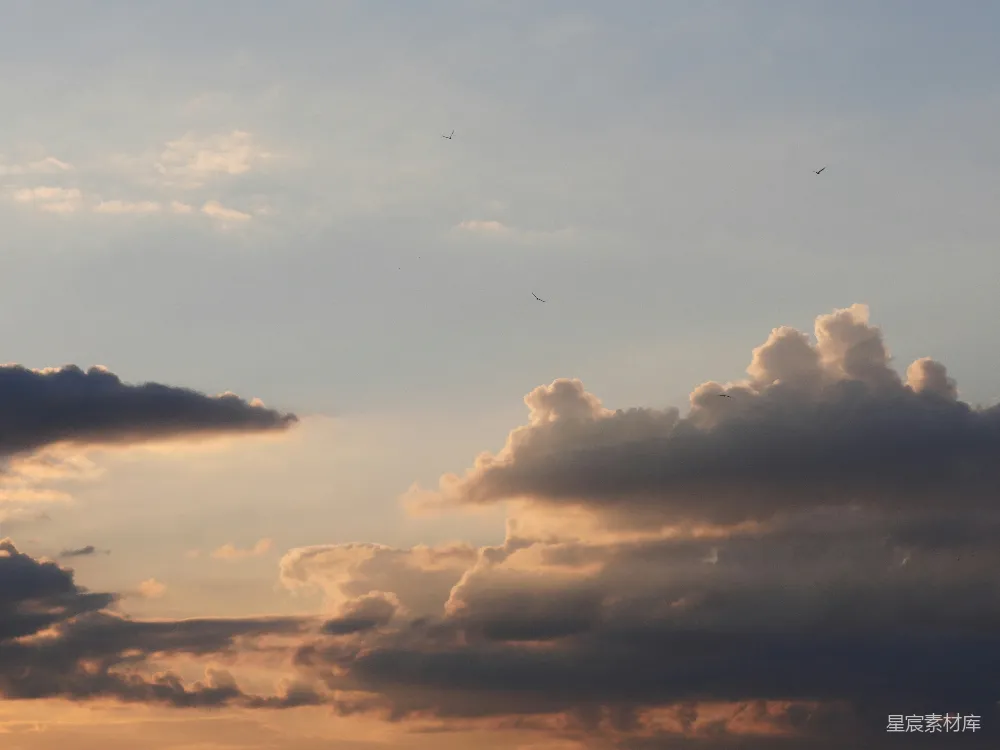 高清摄影 天空 日落 自然 宁静 风景 夕阳下的云与鸟