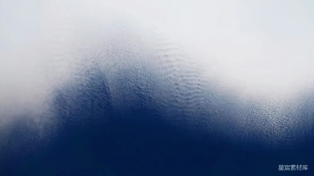 高清摄影 雾气 清晨 宁静 自然风光 户外 雾蒙蒙的清晨