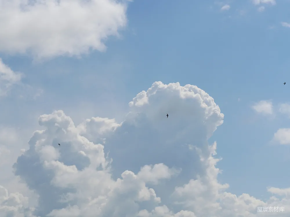 高清摄影 天空 云朵 自然 宁静 自由 蓝天白云与飞鸟