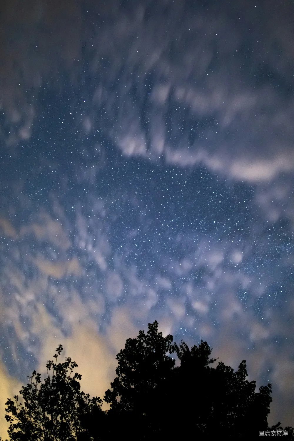 高清摄影 夜空 星星 树影 自然 宁静 夜空下的繁星与剪影