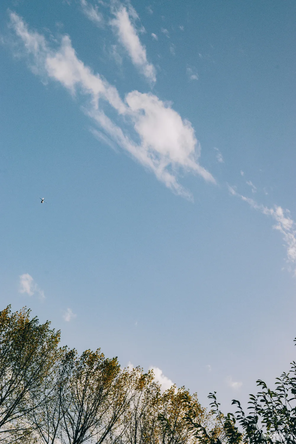 高清摄影 天空 云朵 树木 自然 宁静 蓝天白云下的宁静