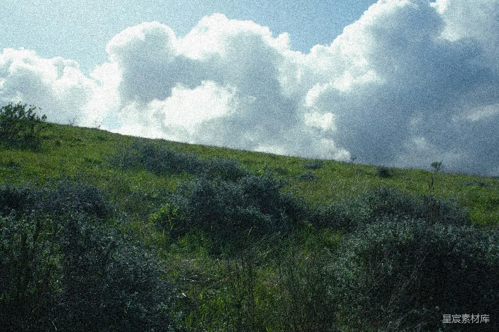 高清摄影 自然风光 宁静 户外 风景 草地 云海与草地