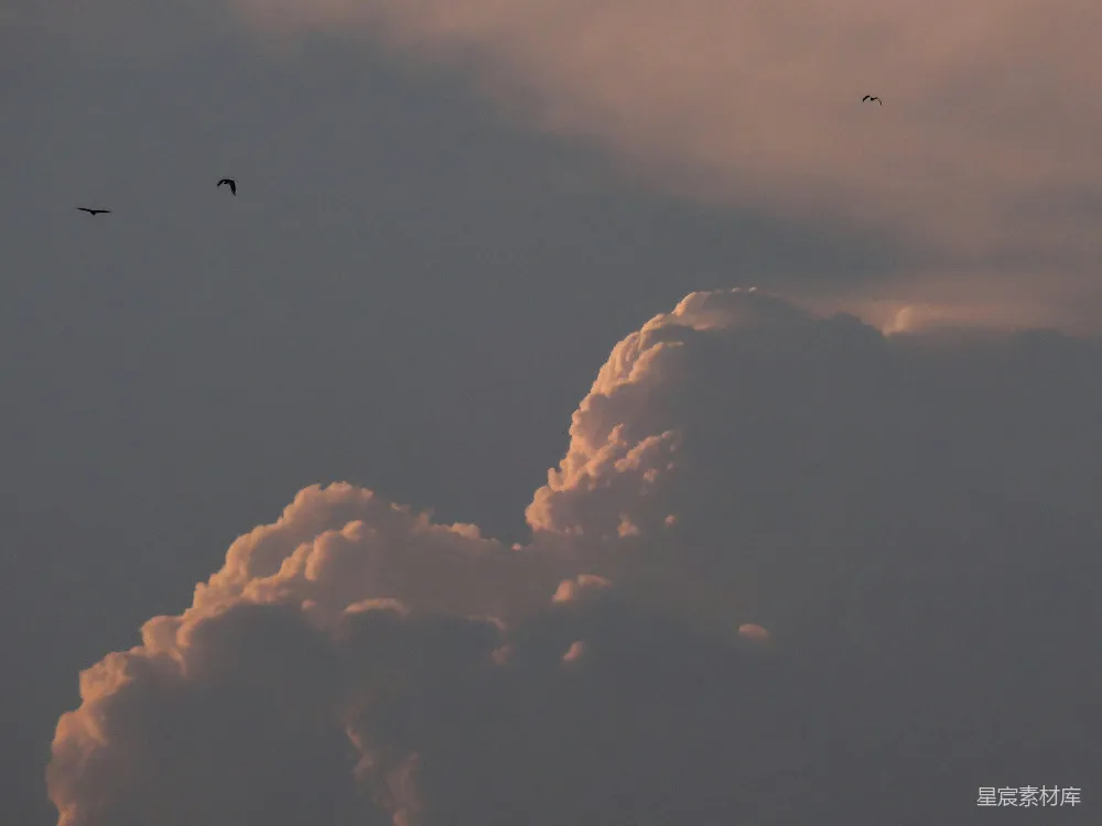 高清摄影 自然景观 日落 天空 飞行 宁静 夕阳中的云与飞鸟