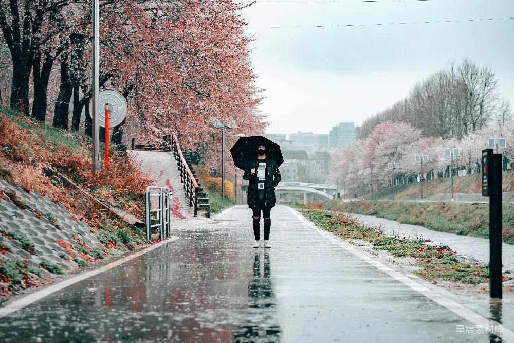 高清摄影 雨景 秋天 城市 孤独 散步 雨中漫步