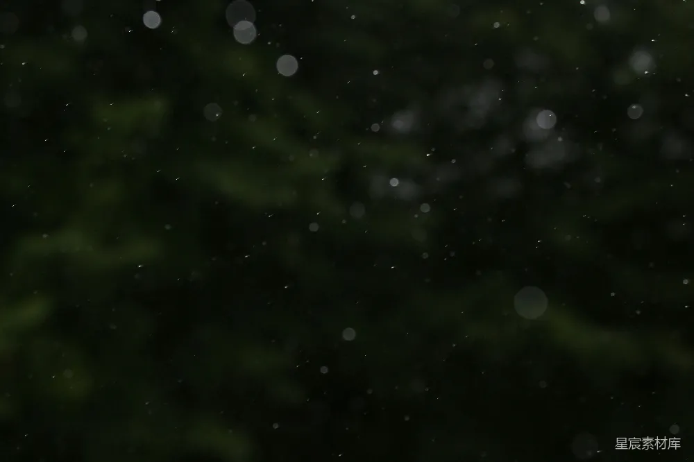 高清摄影 雨夜 光斑 自然 梦幻 夜晚 雨夜的光斑